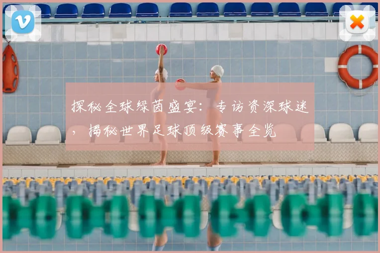 探秘全球绿茵盛宴:专访资深球迷,揭秘世界足球顶级赛事全览